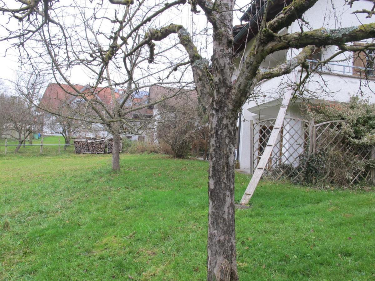 Hotel Gasthaus Adler Wangen im Allgäu Exterior foto